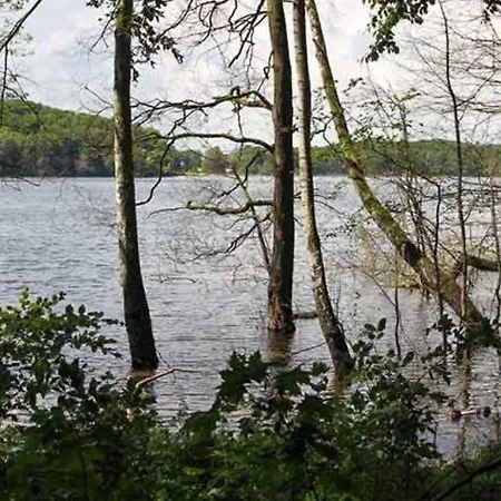 Gothensee - Suedterrasse, Wlan, Kamin, Sauna Prázdninový dům
